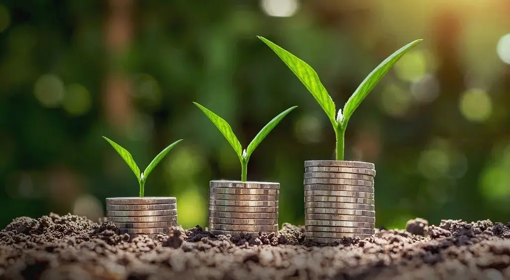 Plantjes die langzaam groeien op stapeltjes muntgeld wat symboliserend is als starten met beleggen