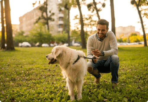 Man met hond in park met mobiel in hand zoekend naar betekenis CFD