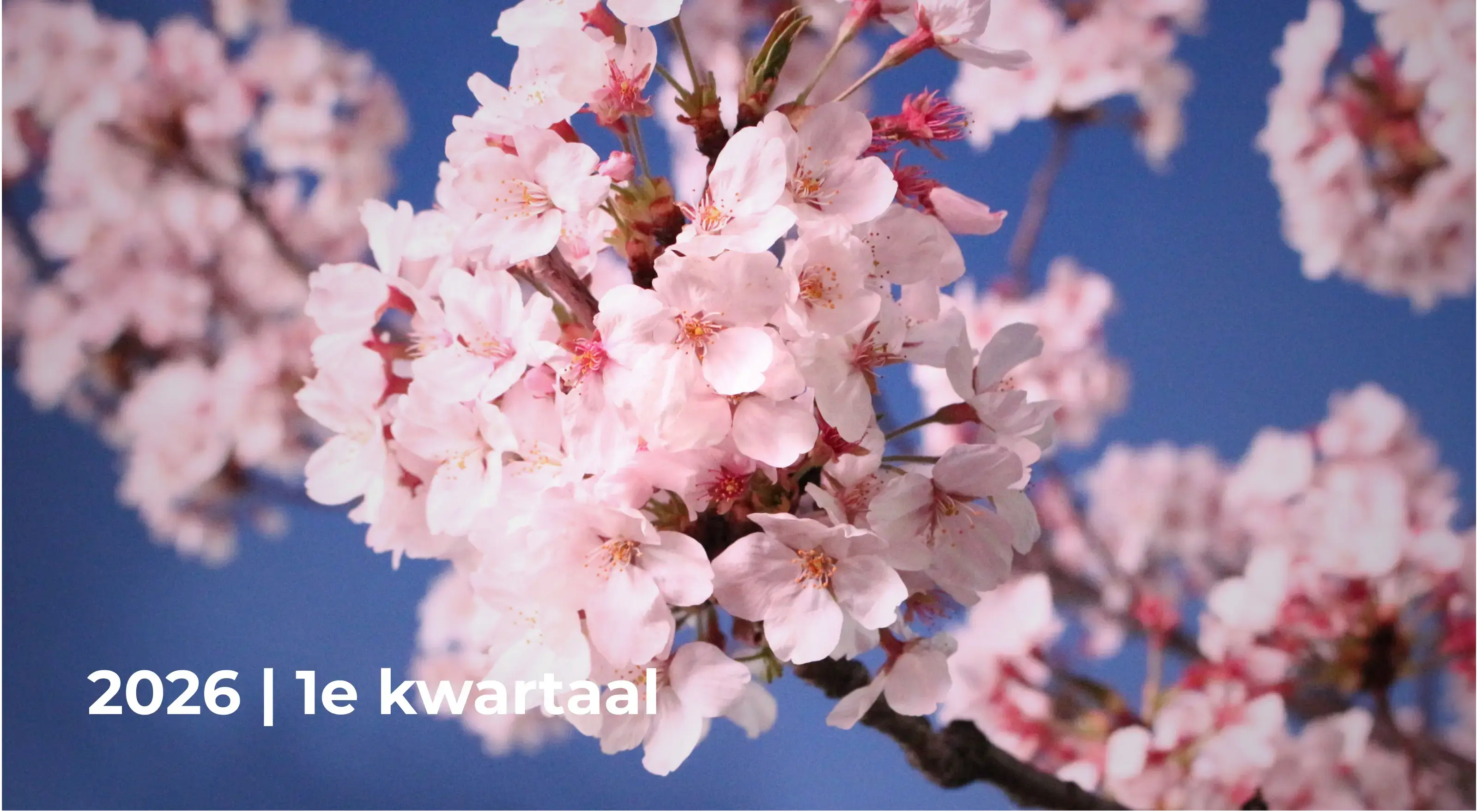 Kwartaalrapportage 2026 Q1